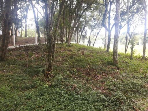 São José dos Pinhais - Chácara c/ 2328m² em condomínio fechado próx. BR 277 - Foto 9