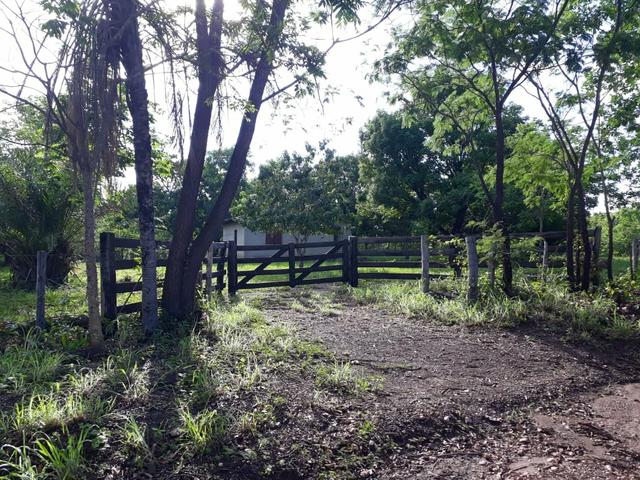 Fazenda em jangada 189 hectares - Foto 5