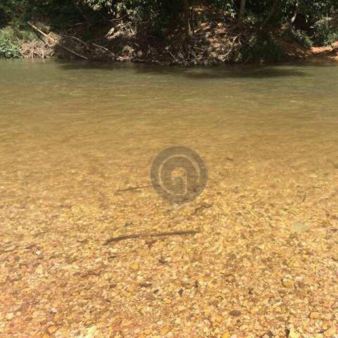 Lote na beira do rio em cuiabá - Foto 3