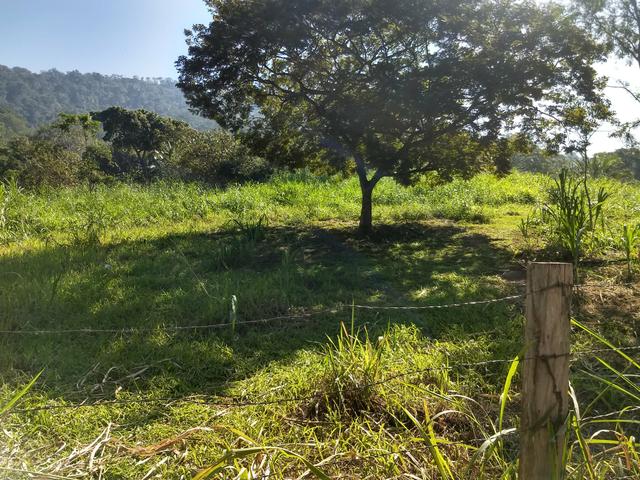 Área Itaipuaçu Maricá - Foto 3