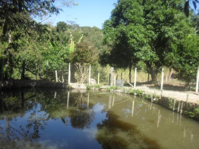 Fazenda com 57 hectares em Carmopolis de Minas - Foto 13