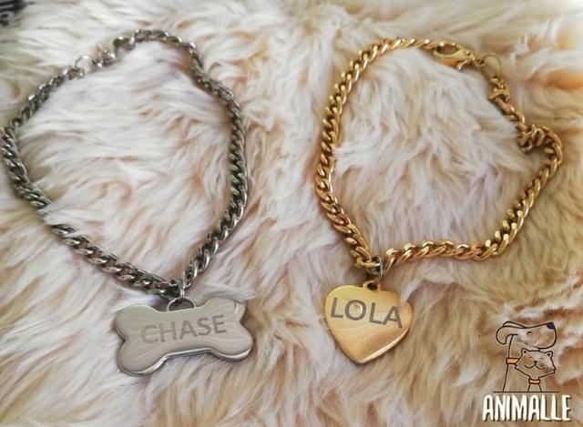 Coleira Com Placa De Identificação Para Cachorros E Gatos
