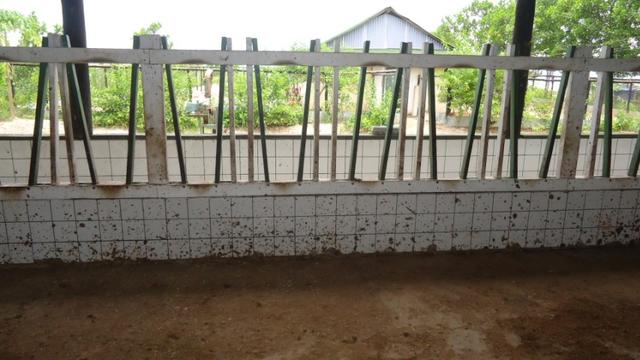Silva Jardim Propriedade com 9 alqueires preço pra vender! - Foto 3