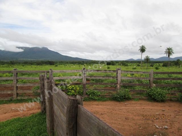 Fazenda com 881 hectares em Corumbá-MS para agricultura e pecuária - Foto 12