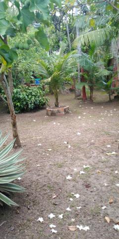 Casa em cutijuba - Foto 3