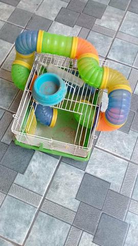 Gaiola para hamster