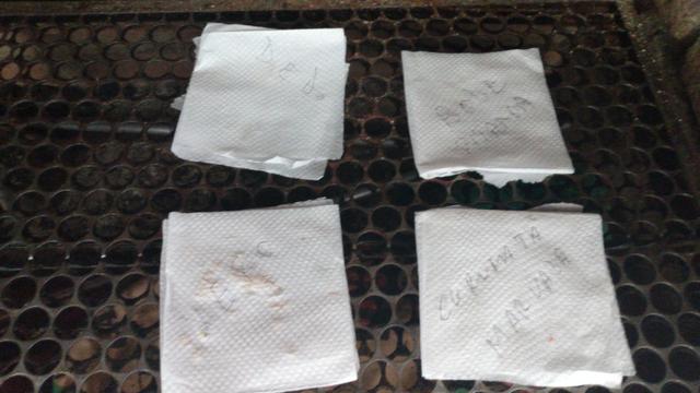 40 Sementes de Pimentas - Foto 3