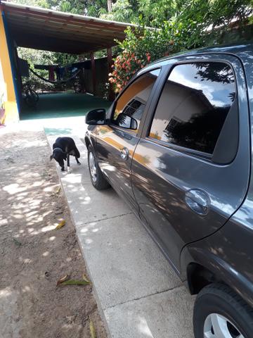 Vende-se celta - Foto 2