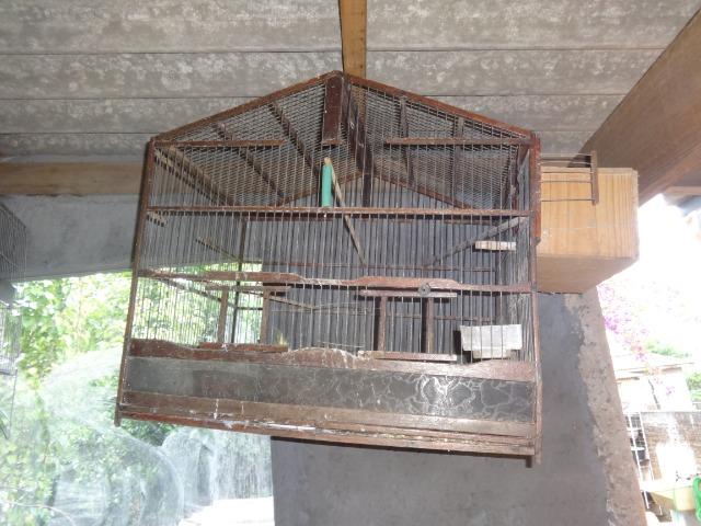 Gaiolas - Foto 4