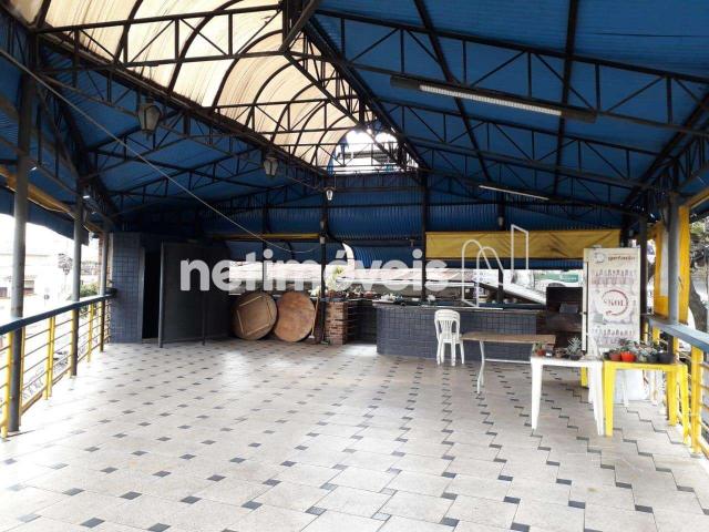 Casa à venda com 2 dormitórios em Padre eustáquio, Belo horizonte cod:389415 - Foto 5