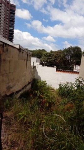 terreno - excelente oportunidade - área nobre - Foto 8