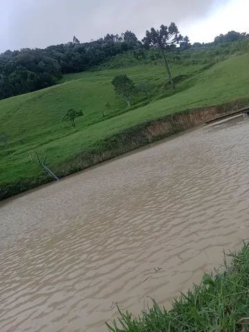Vendo  ou troco por imóvel em Florianópolis sitio em Alfredo Wagner com piscina. - Foto 4
