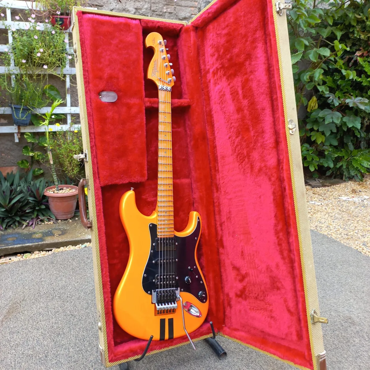 Guitarra tagima Edu ardanuy 