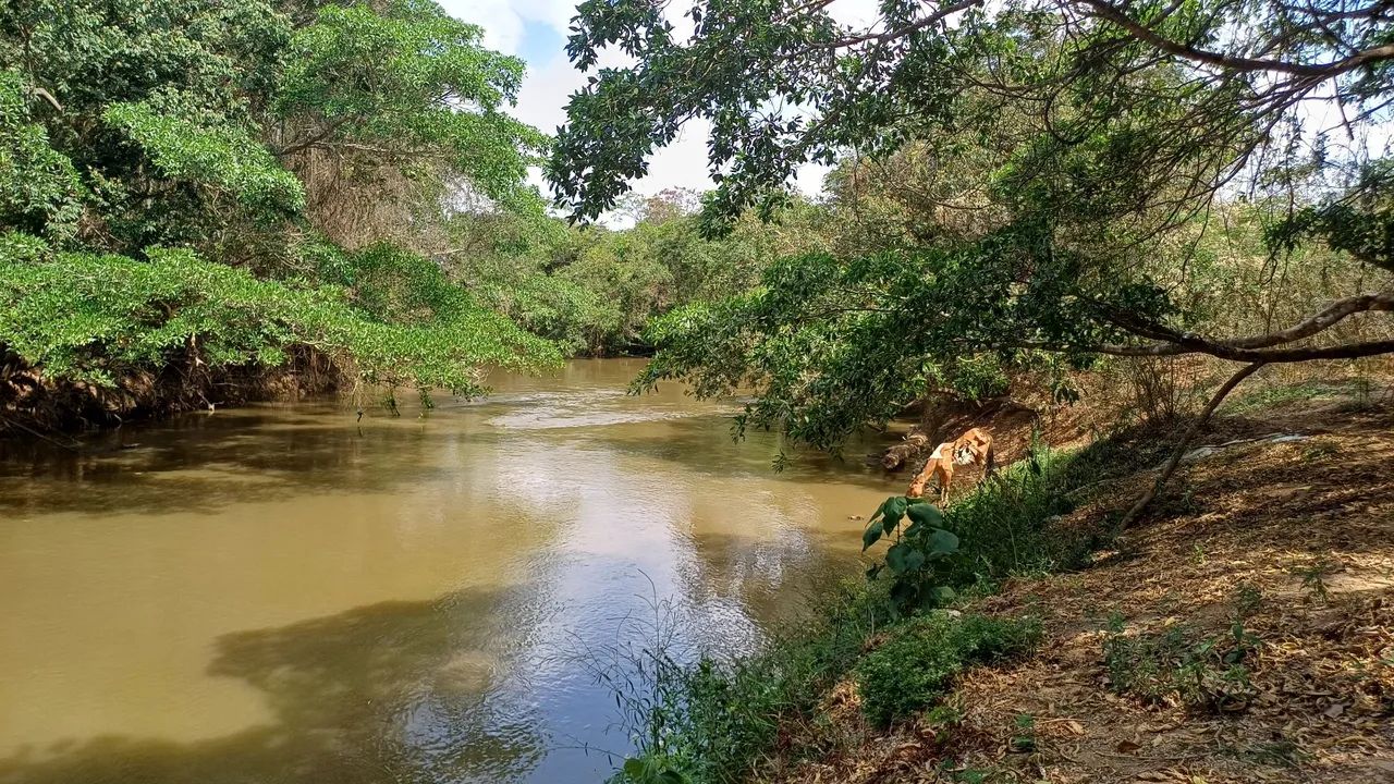 foto - Brasília - St H Jardim Botânico