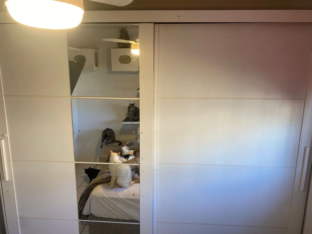 Guarda-Roupa com Portas de Espelho