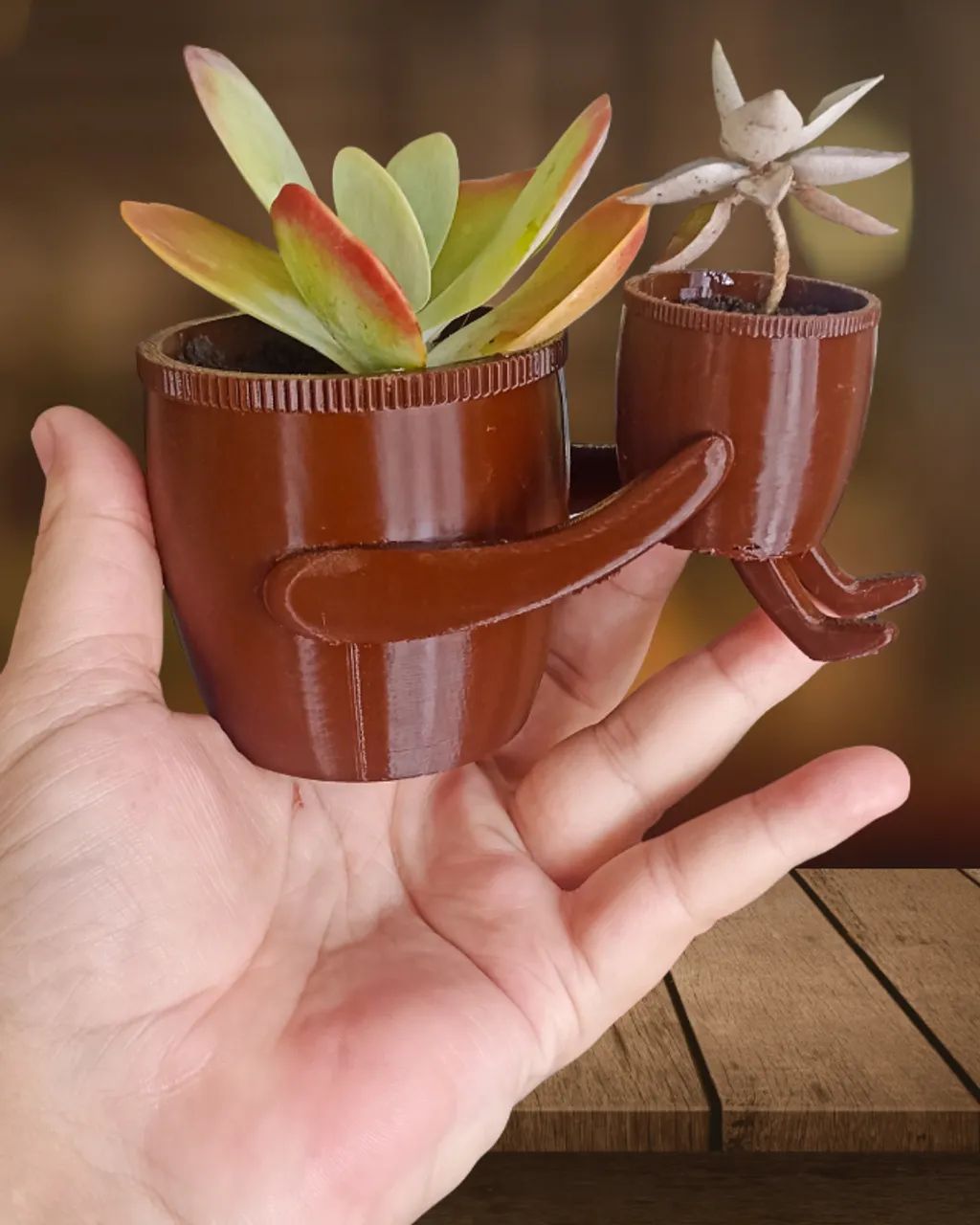Vaso para Plantas Pai e Filho - Impressora 3D