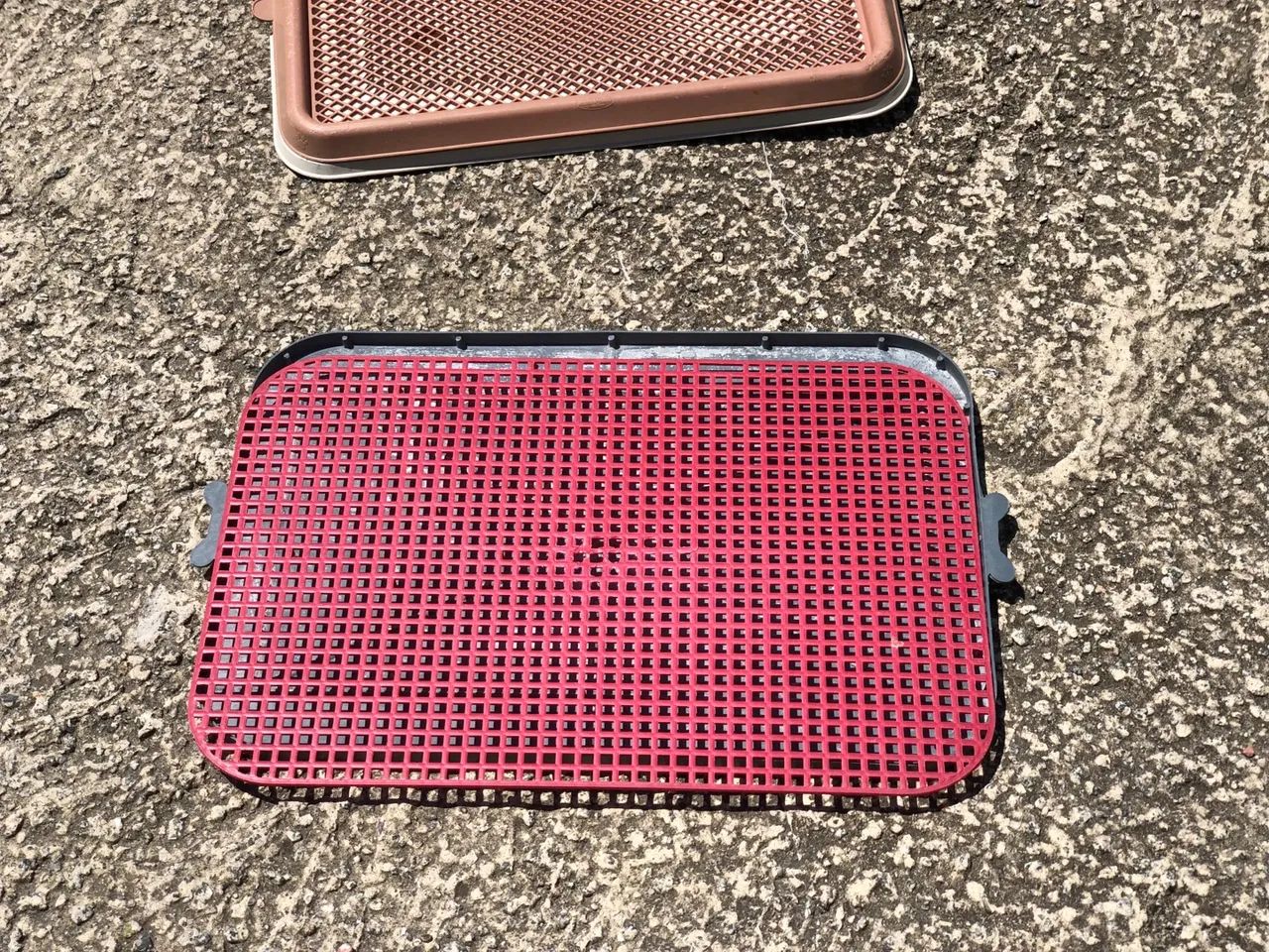 Acessórios para Pet - Foto 6