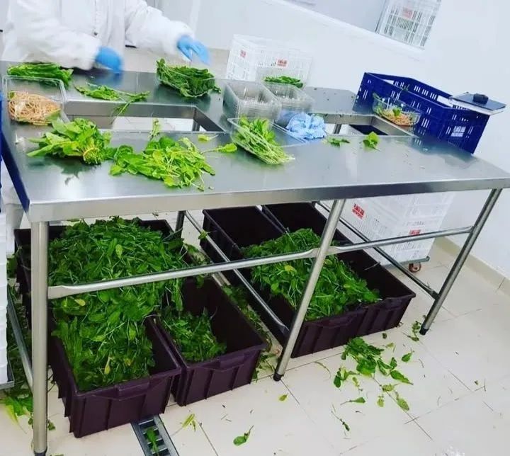 Mesa de Preparo de Alimentos em Aço Inox
