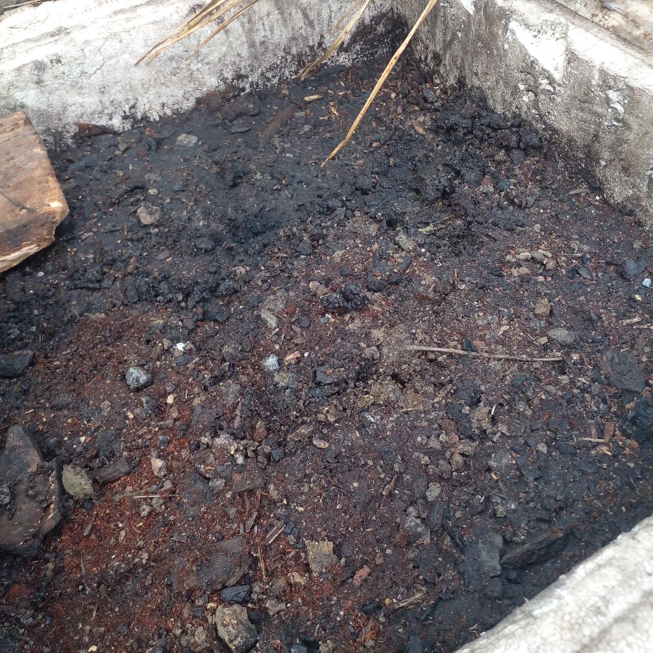 Adubo pronto para plantas