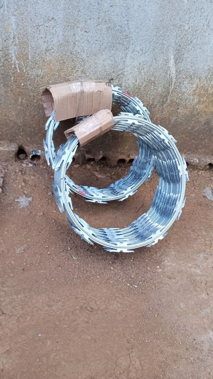 Concertina Galvanizado para segurança