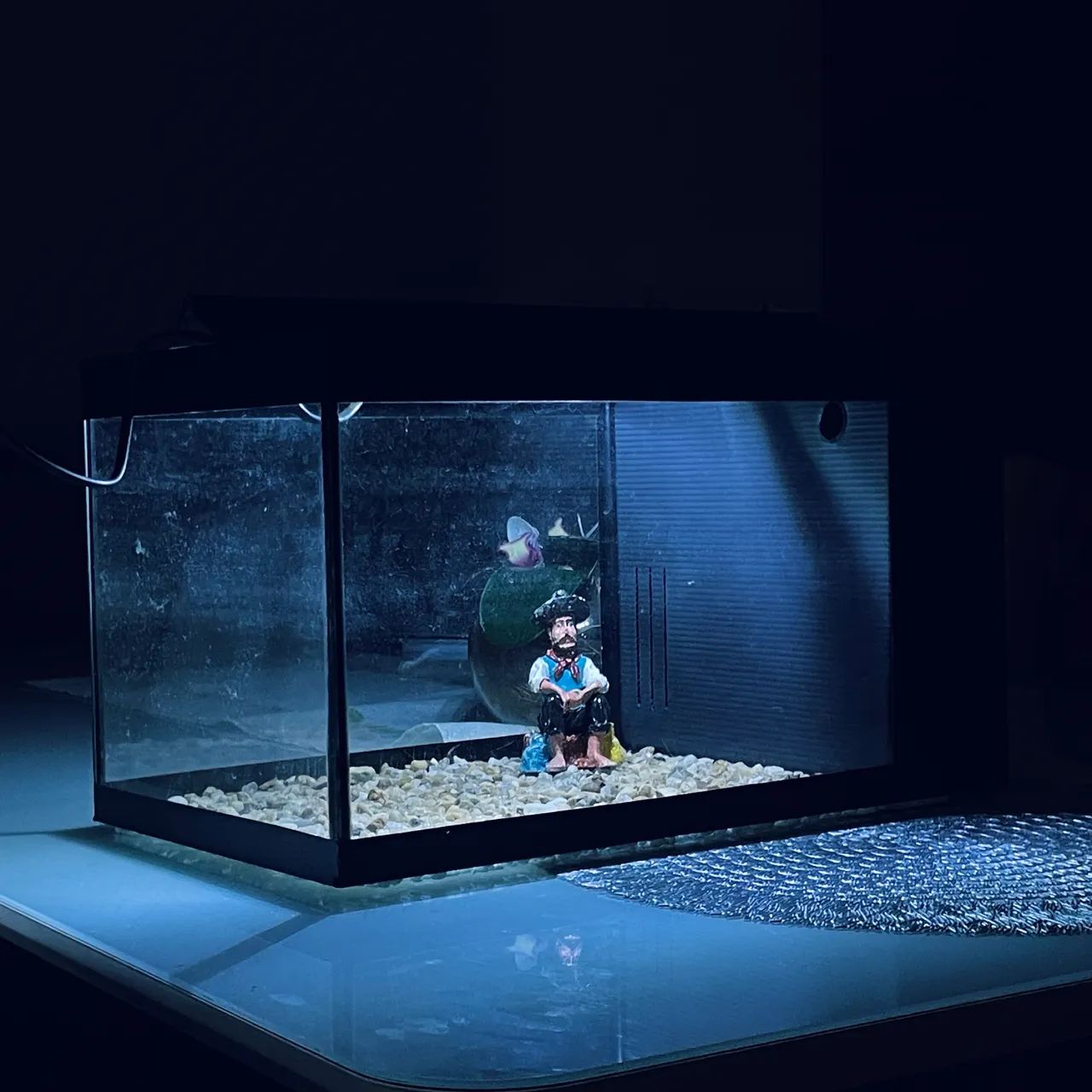AQUÁRIO COM LED 20L