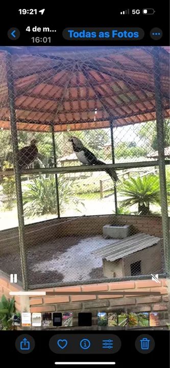 Sitio em Esmeraldas pousada los hermanos - Foto 15