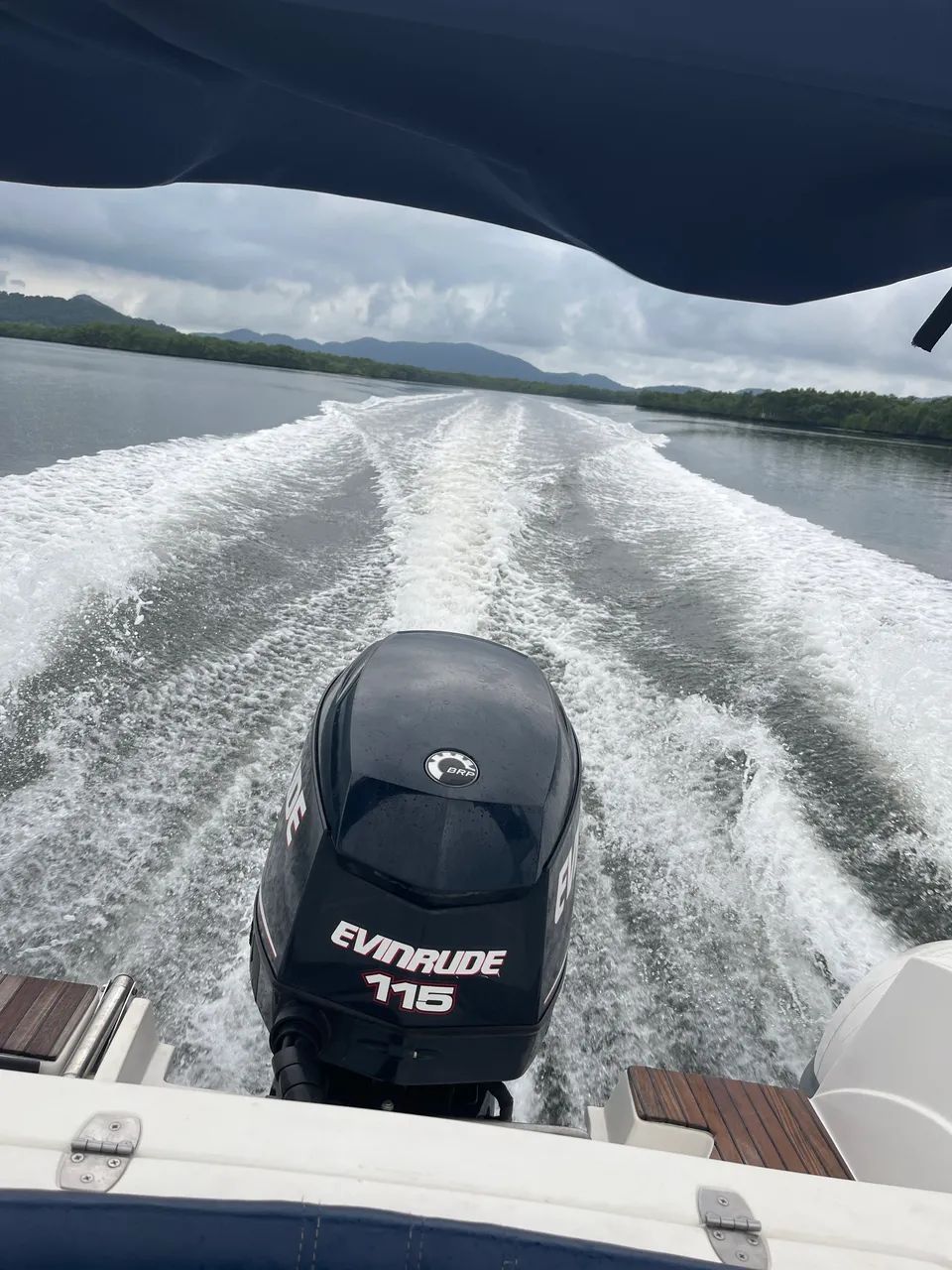 EVINRUDE de 115 com 600 horas