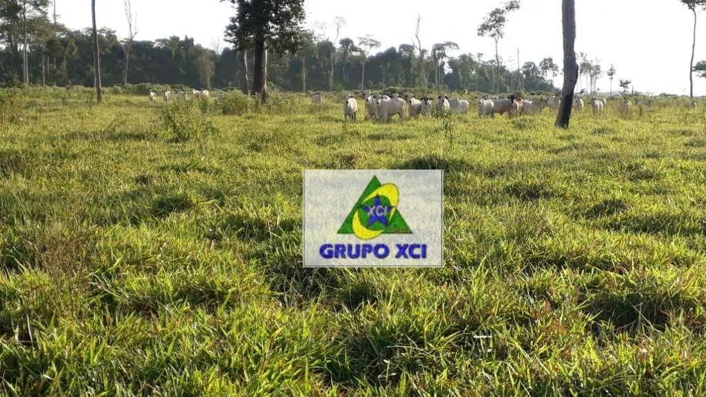 Fazenda à venda, 10527000 m² por R$ 25.000.000,00 - Zona Rural - Juina/MT - Foto 3