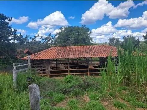 Negociando  - Foto 3