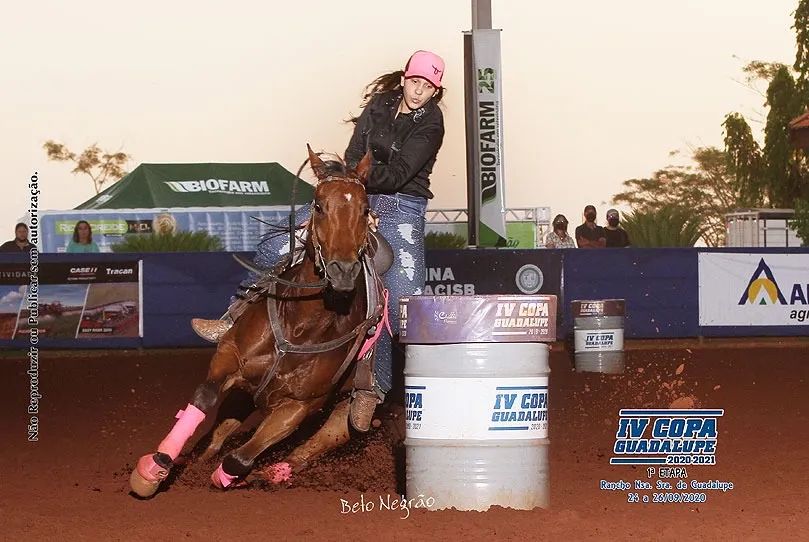 VENDE SE CAVALO PRONTO EM 3 TAMBORES  - Foto 2