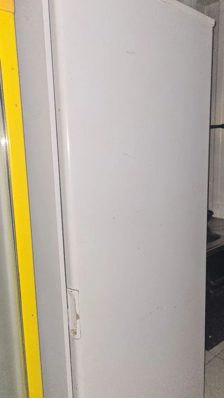 frezer Industrial Usada