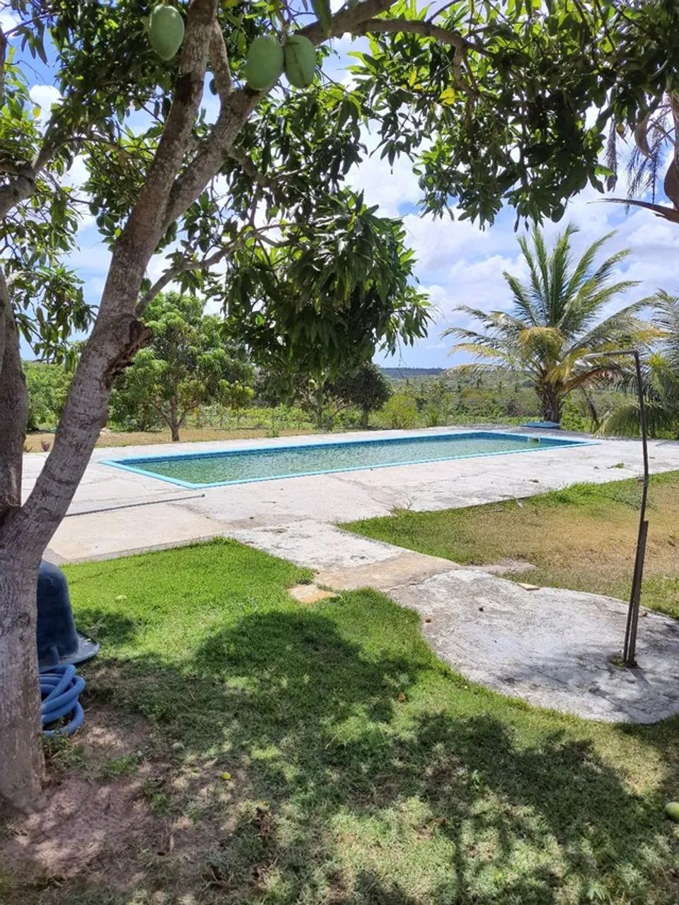 Granja com 14 hectares em punau estruturada rio perene etc - Foto 4