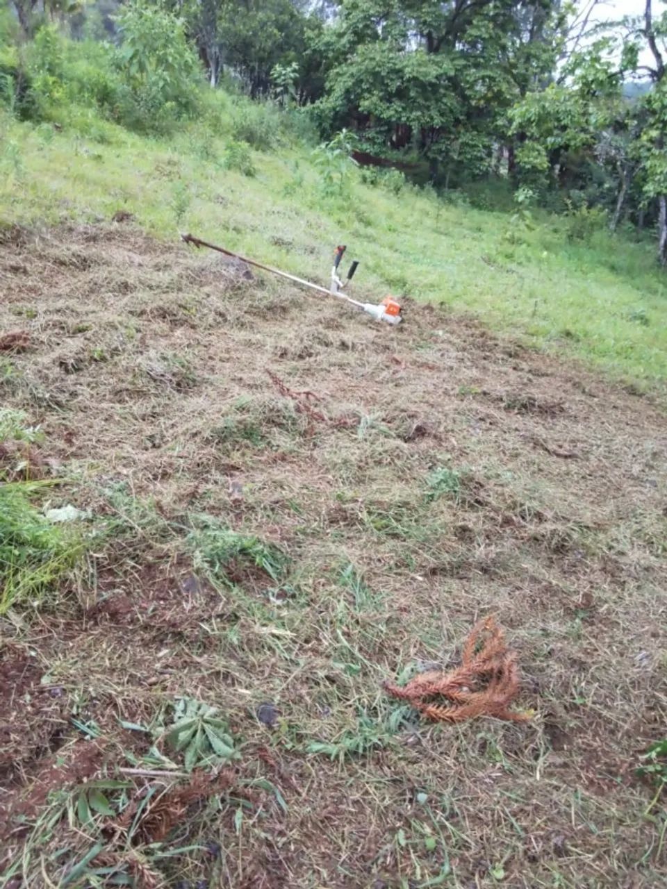 Marido de Aluguel Prestação de Serviço Jardinagem & Manutenção  - Foto 3