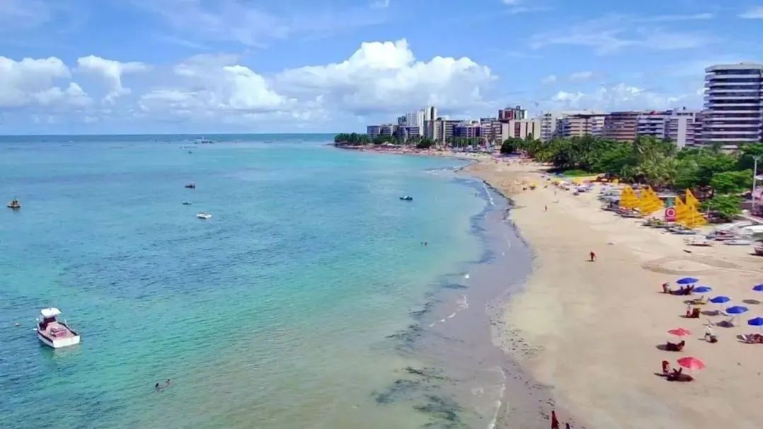 Drone SIRC F11 Pro 4k GPS - Foto 4