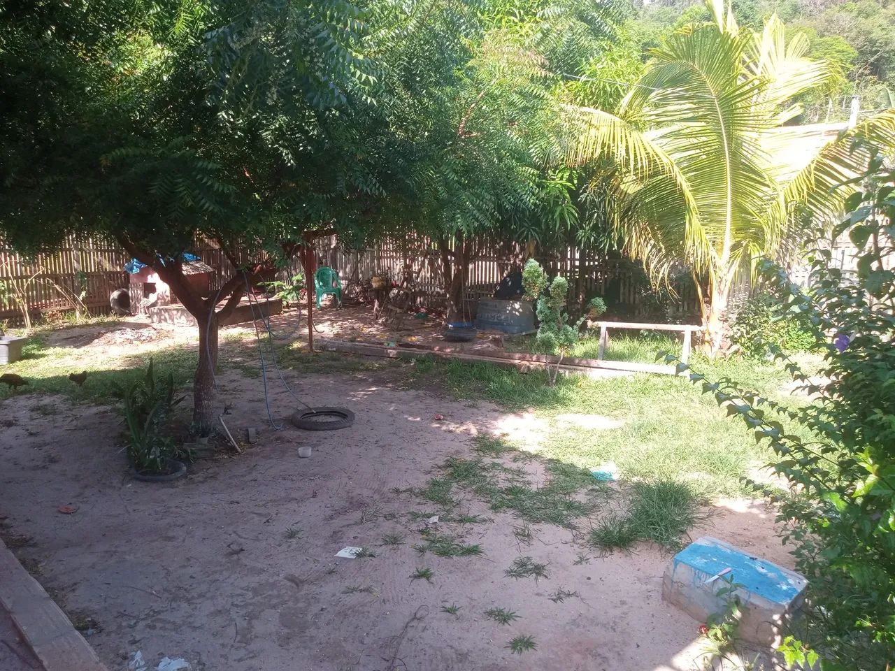 Foto - Santarém - Bela Vista