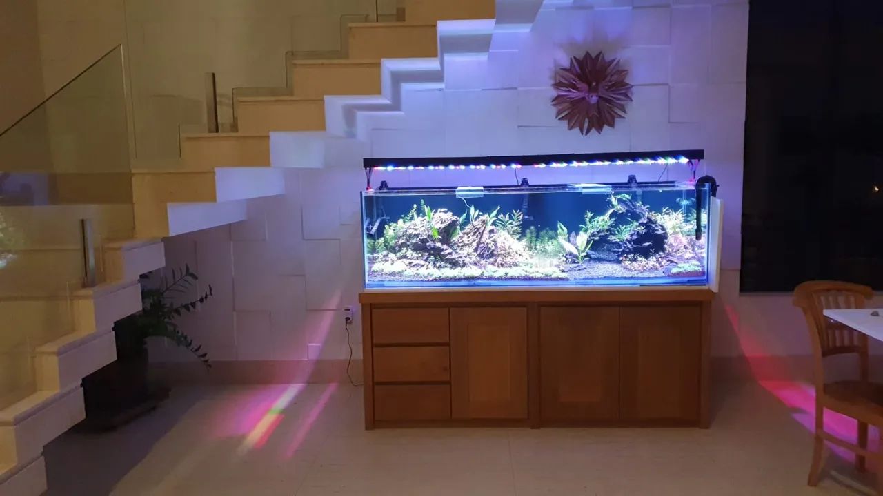 Aquario + Filtros + Luminárias. 80% de desconto! - Foto 2