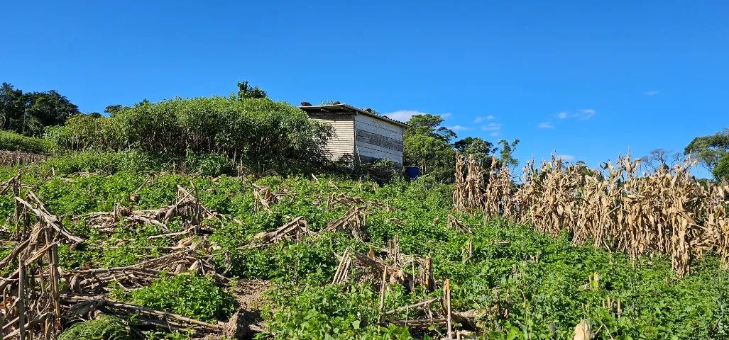 Lindo Terreno Rural em Aguas Mornas - Foto 4