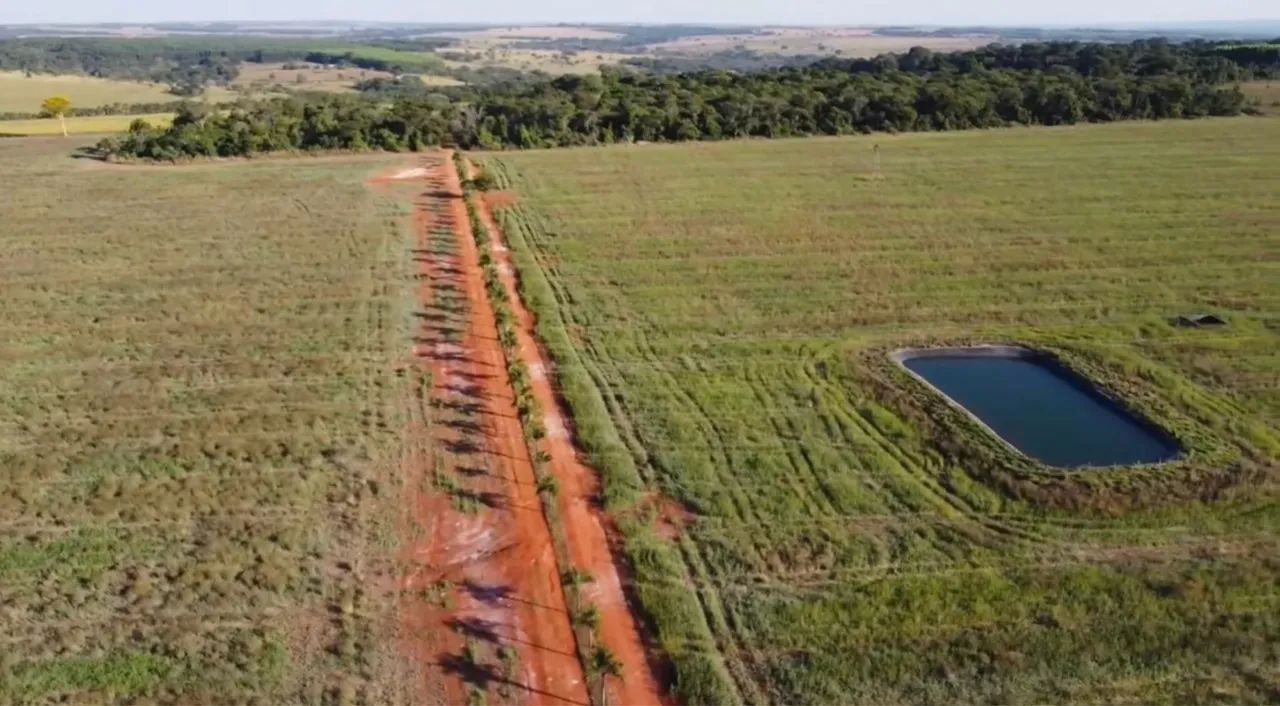 Sítio de Luxo 12 alqueires em Bela vista-Go - Foto 8