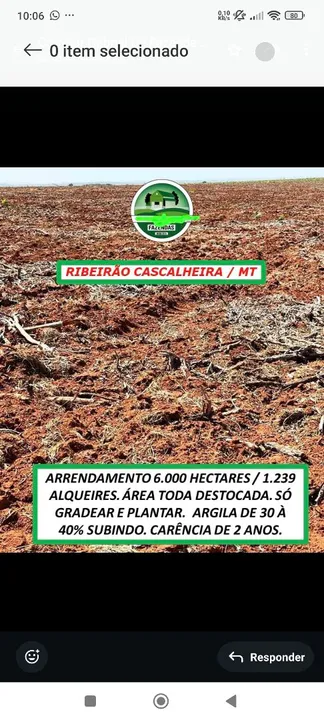 Fazenda arrenda 6.000hec em Ribeirão da cascalheira MT.
