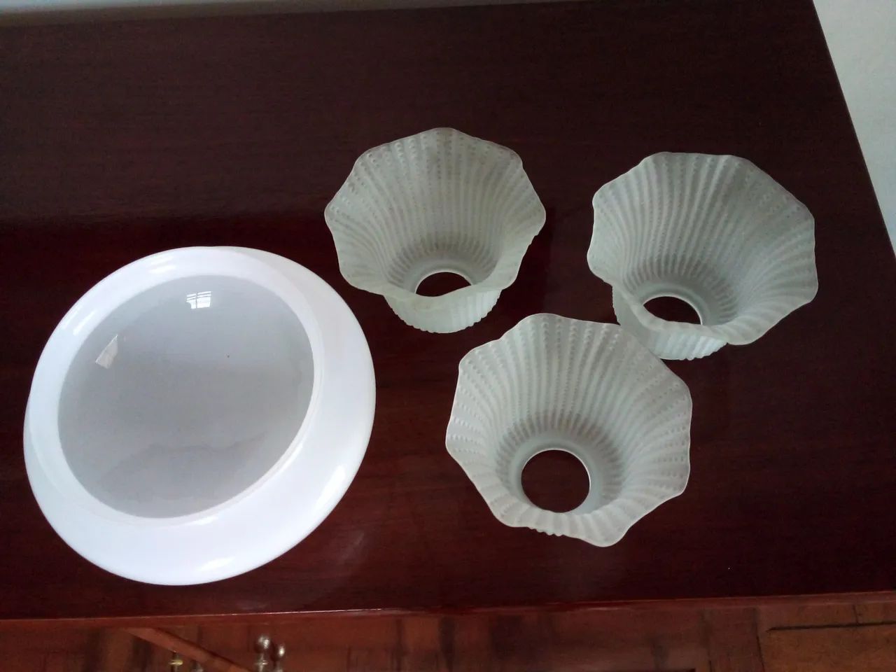 Tulipas e globo - Foto 2