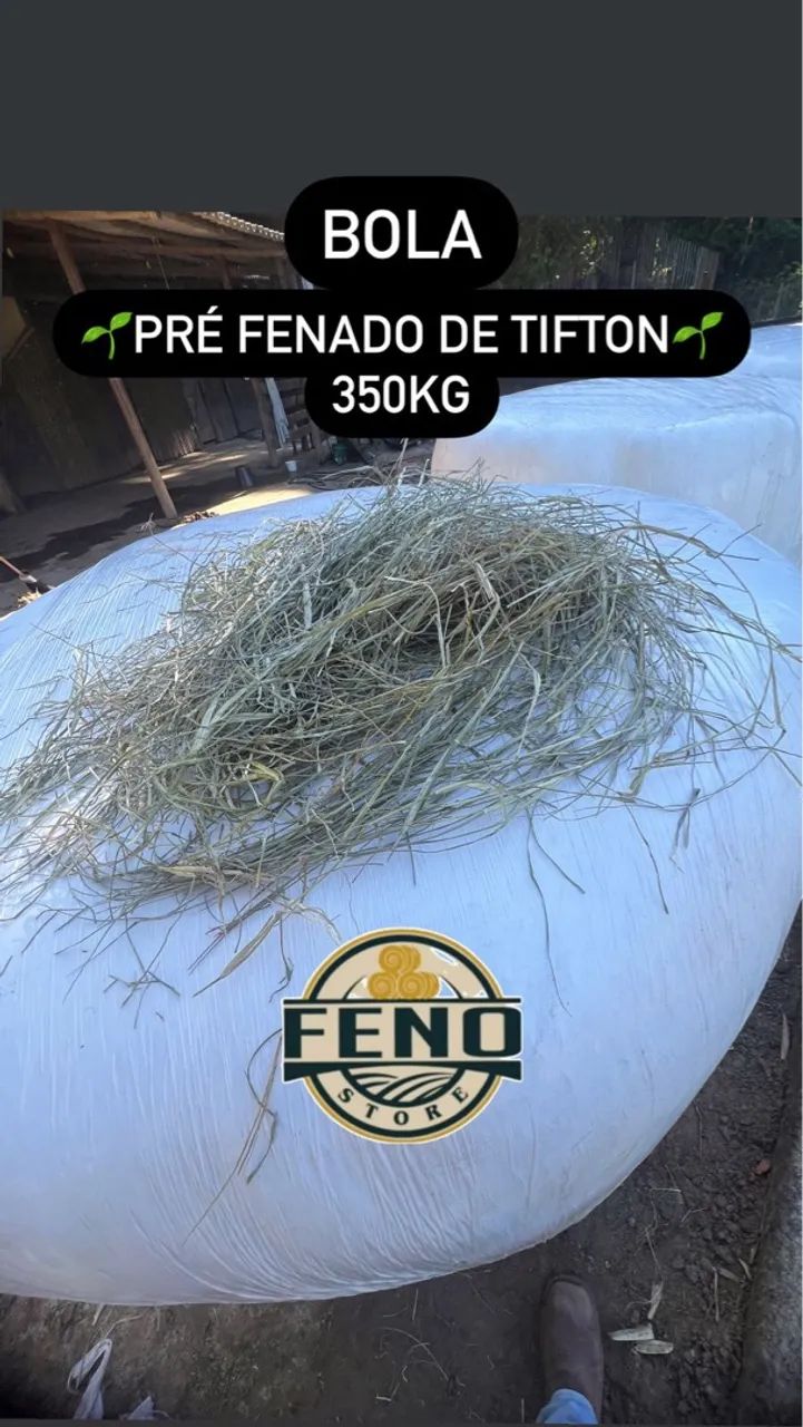 Bolas de Feno  - Foto 4