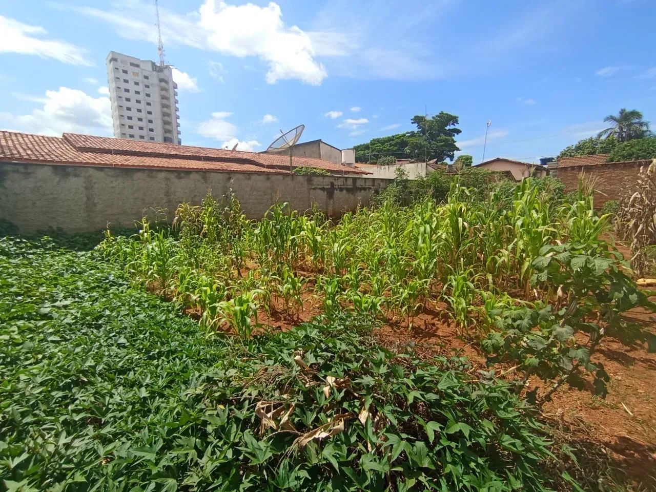 Lote centro de Pires do Rio - Foto 3