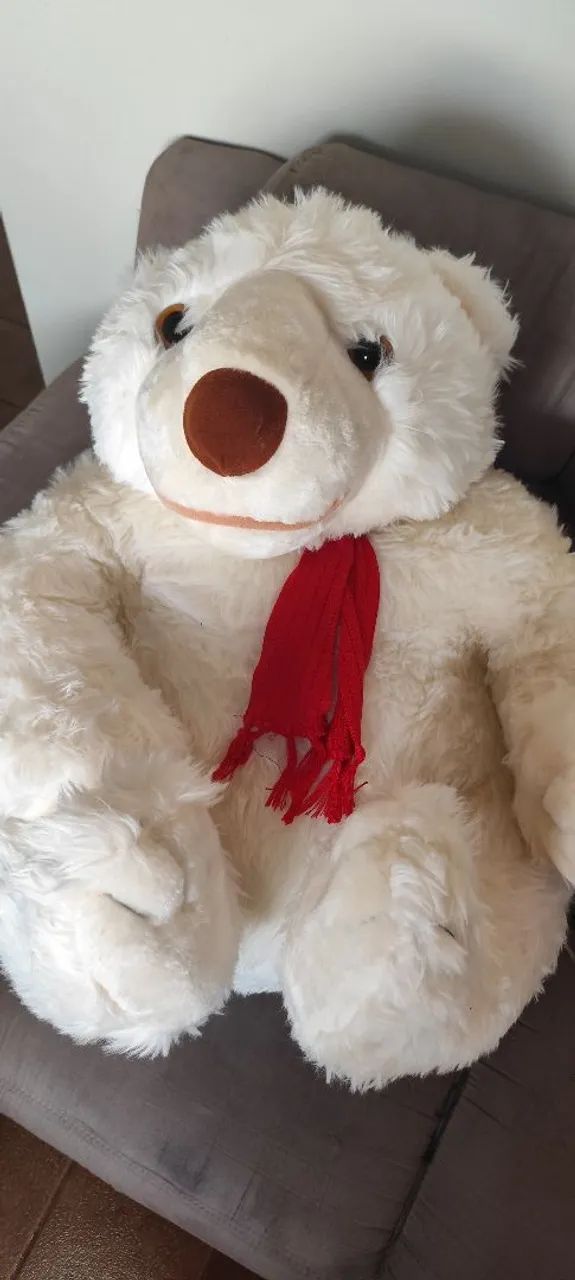 Urso ? lindo