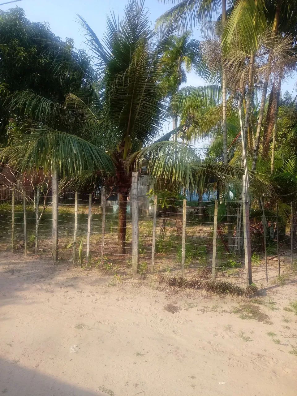 Vendo terreno em Marituba  - Foto 3