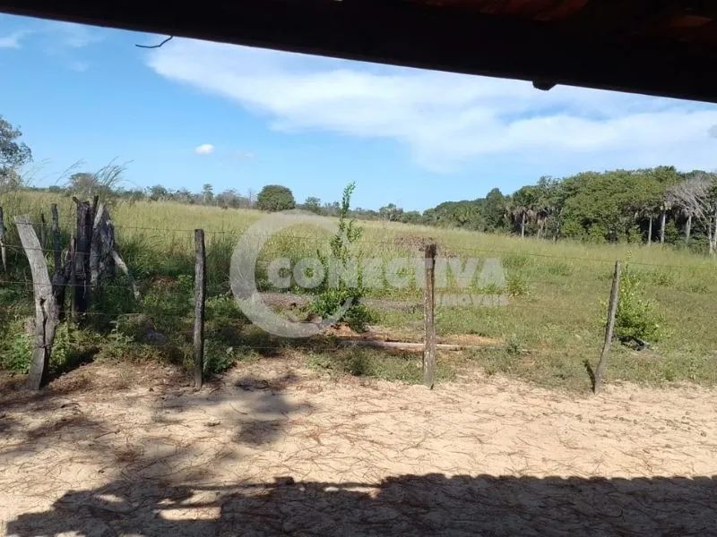 Fazenda - Arraias Tocantins - Foto 3