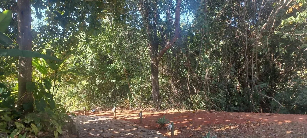 Área para chale - Foto 4