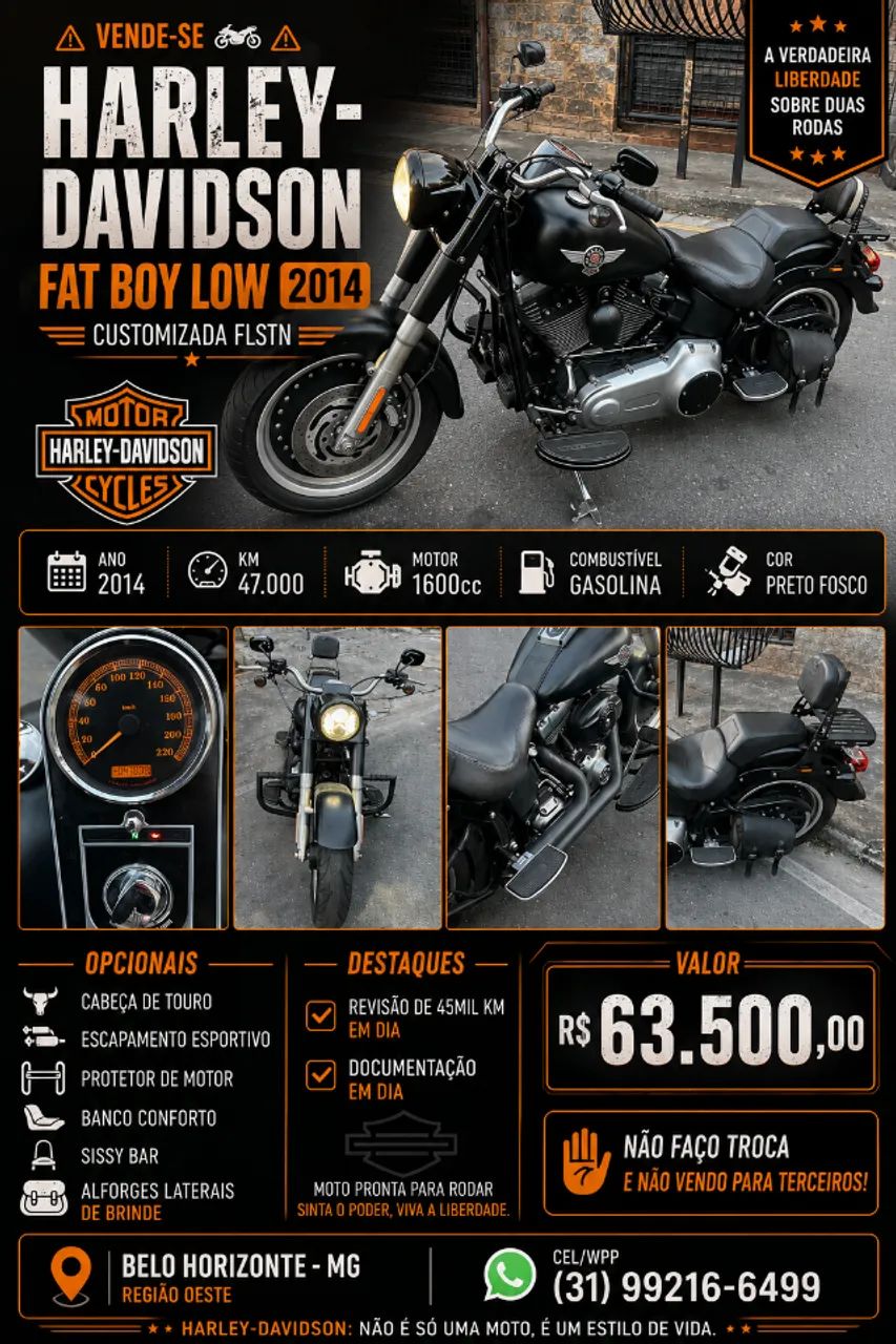 HARLEY-DAVIDSON FAT BOY LOW 2014