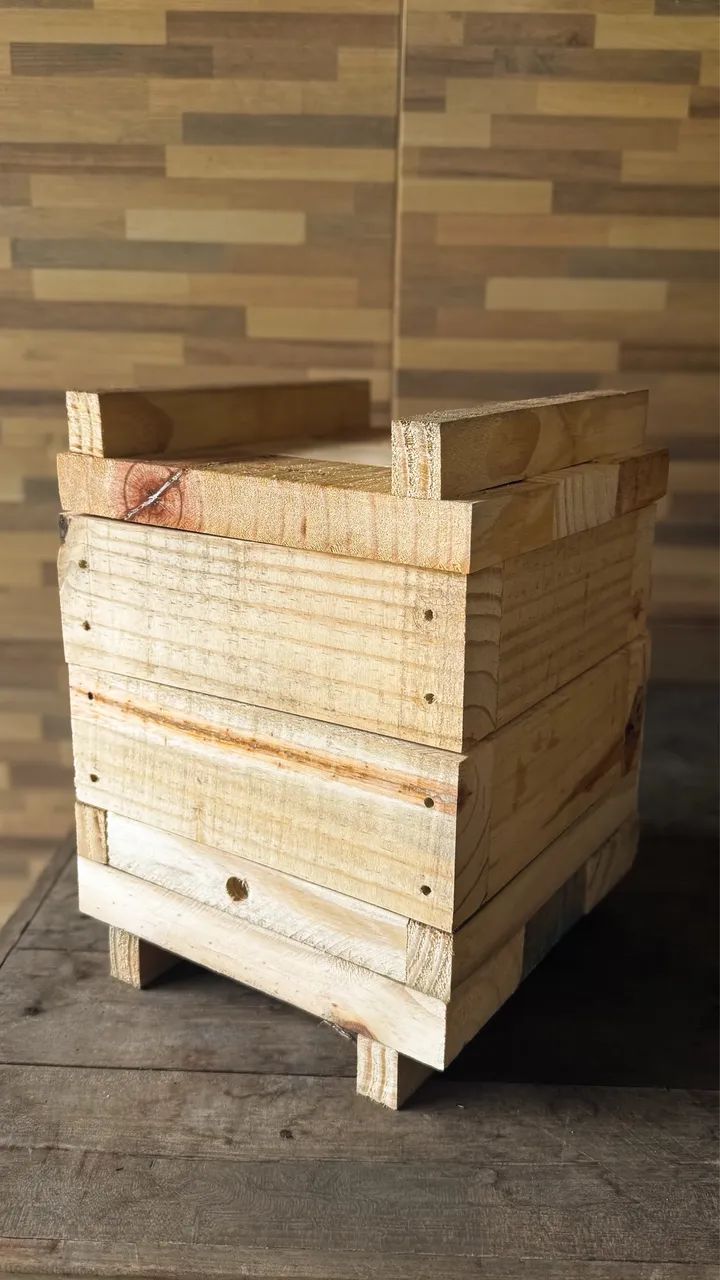 Caixa INPA 18x18 para abelha sem ferra (ASF)