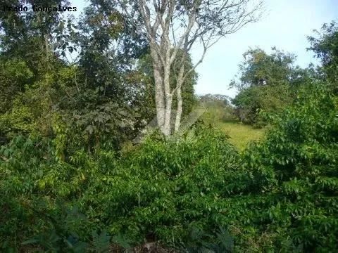 terreno - Sousas - Campinas - Foto 4