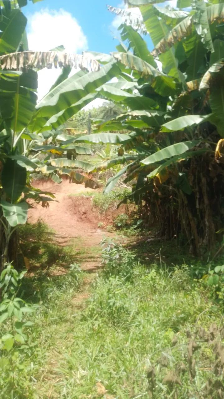 Foto - Santa Luzia - Asteca (São Benedito)